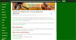 Desktop Screenshot of irish-music.net